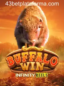 BuffaloWin